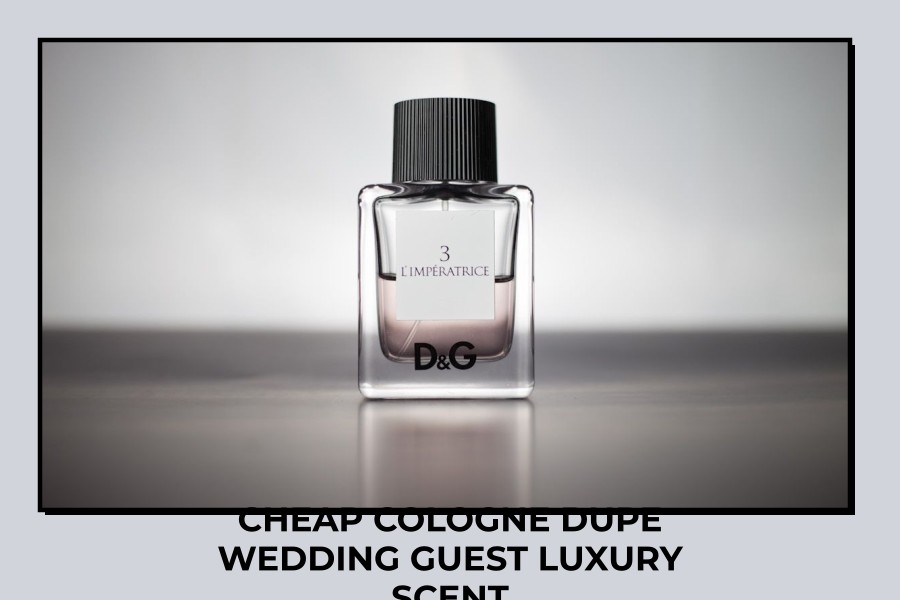 cheap cologne dupe wedding guest luxury scent