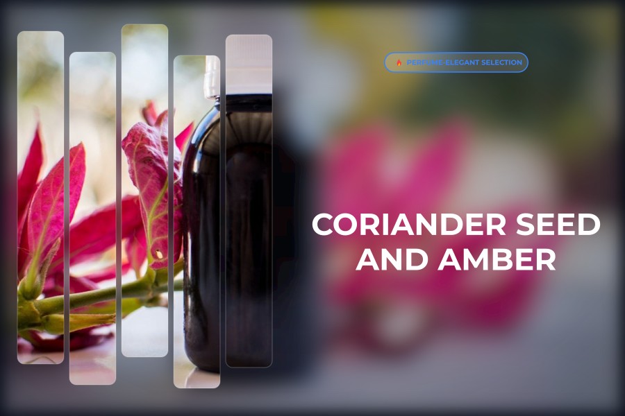 coriander seed and amber
