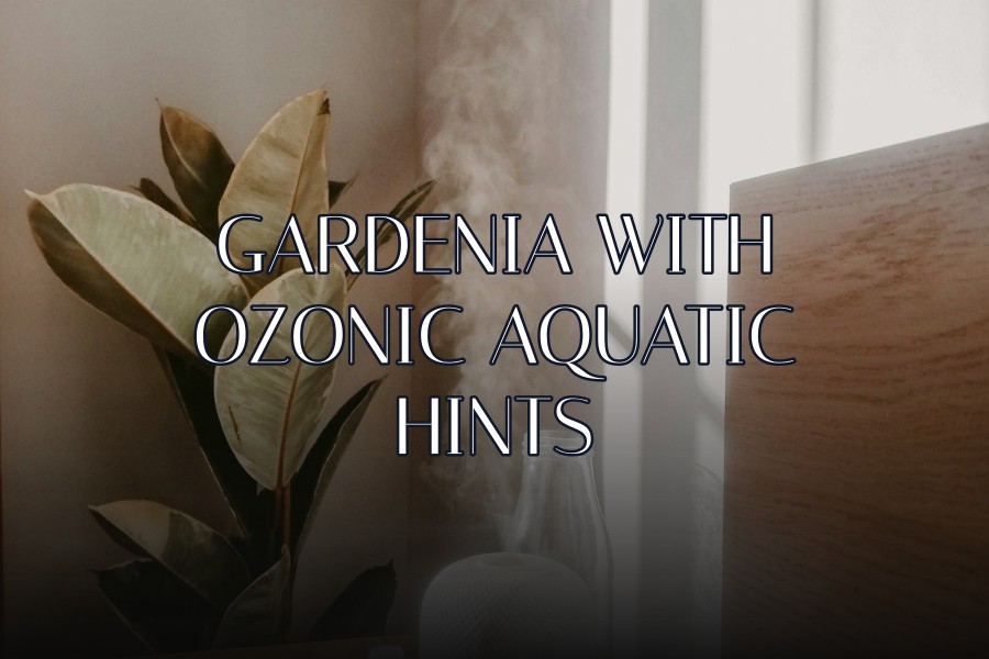 gardenia with ozonic aquatic hints
