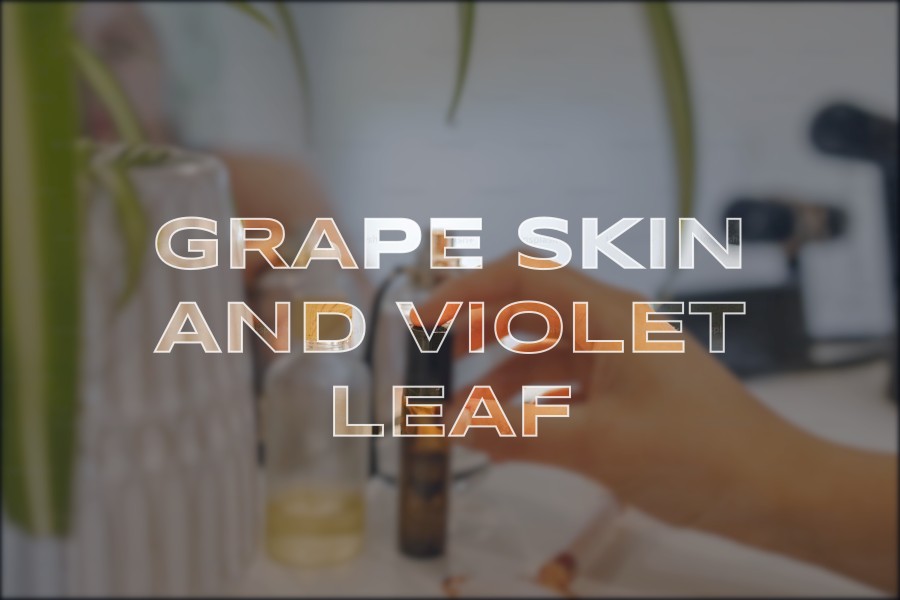 grape skin and violet leaf