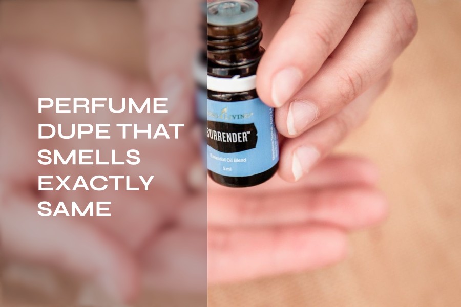 perfume dupe that smells exactly same