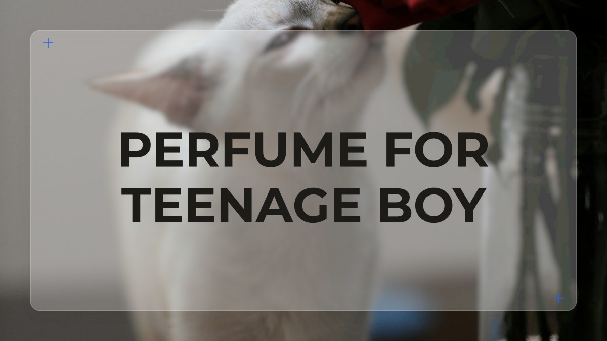 perfume for teenage boy