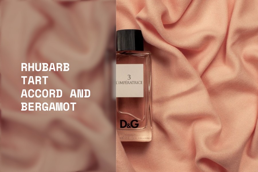 rhubarb tart accord and bergamot