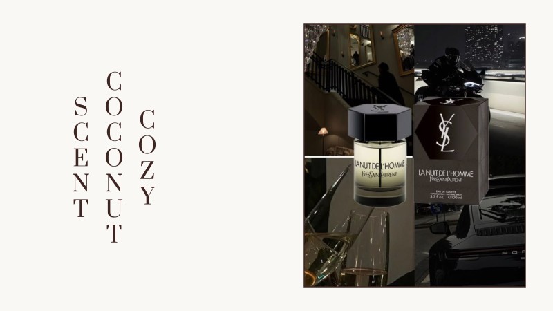 cozy coconut scent